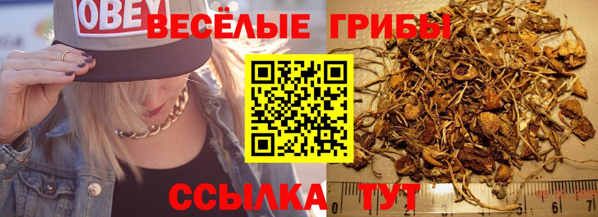 Галлюциногенные грибы Psilocybine cubensis  Вход с VPN  Еманжелинск  Галлюциногенные грибы мухоморы 
